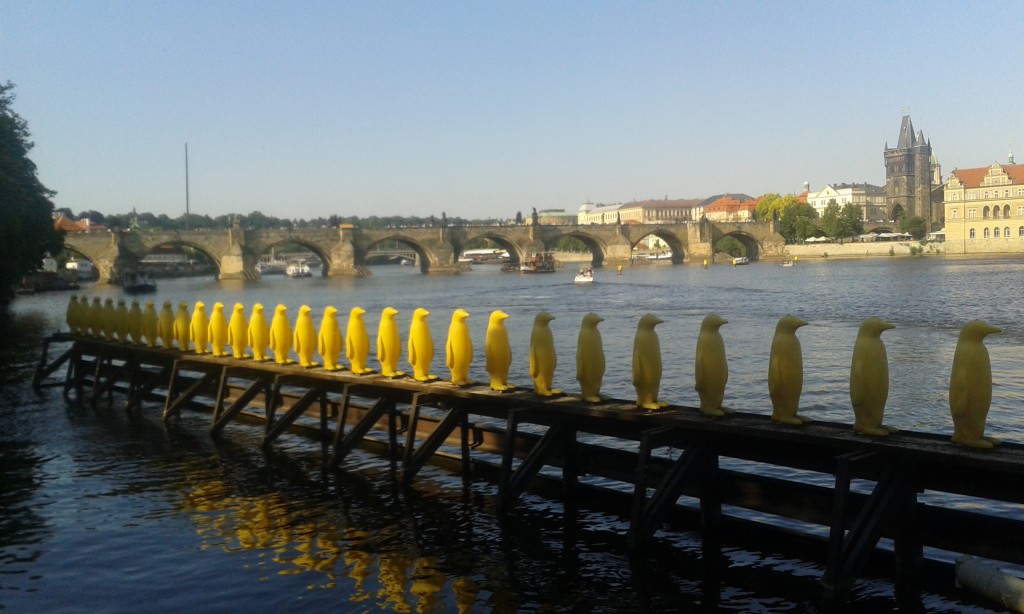 Les pingouins jaunes de la Vltava, Pont Charles, Prague, images Prague, P rague, photos Prague